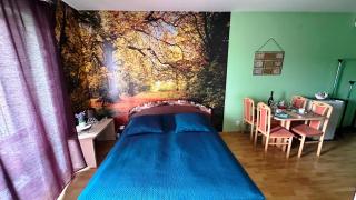 Apartments Liptov City - 1