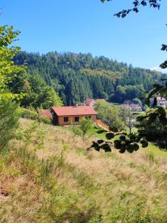 Refuge au coeur des Vosges - Aumontzey - 9