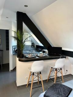 Studio chaleureux hypercentre Amiens - Amiens - 7