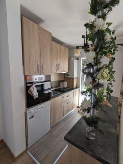 Apartament Sofia - Sibiu - 4