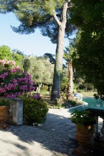 Villa Grand Cèdre - Marselha - 2