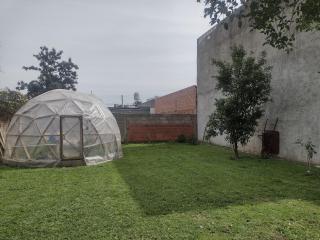 Ala de Colibri - Ramallo - 4