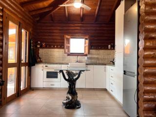 Mona's Log Cabin - 2