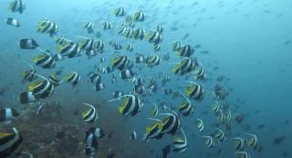 sunrise seasports - 0