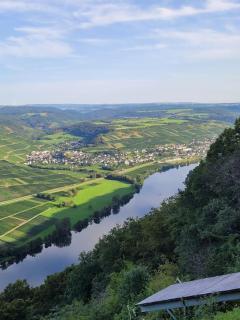 Willi's Moselschlösschen - Neumagen-Dhron - 1