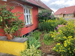 Villa Kunterbunt: Urgemütlich und fast perfekt - Hohen Wangelin - 5