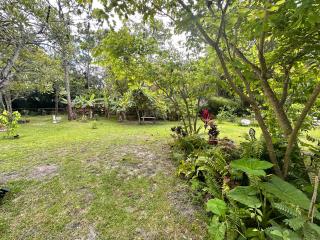 Modern Tropical Garden House - 3