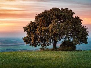 Ranchito de Alhucemas,piscina privada y barbacoa - 1