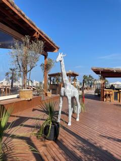 ACRIMA Studios 108 Mamaia Nord - Năvodari - 8