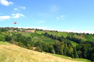 Schilcher-Residenz - Steinreib - 0