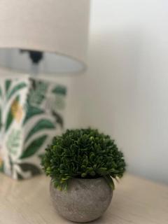 Newly Renovated Family Friendly Home - 1