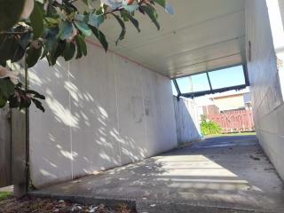 Nesting In Hamilton East - 2