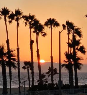 Huntington Surf Inn - Huntington Beach - 8