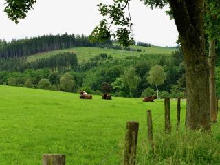 Holiday Home near Winterberg Ski Slopes - Elpe - 1