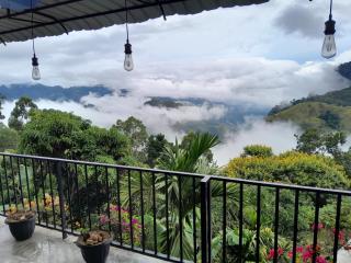 Golden View Guest Ella - 9