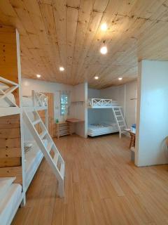 Strawberry Guyabano Farm - 6