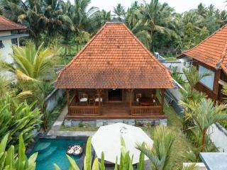The Sakara Ubud Villas by Pramana Villas - Ubud - 5