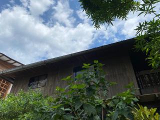 Casa Hospedaje Tingomaria - Tingo María - 9