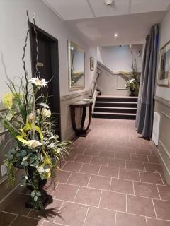 Cozy Sweet Studio #2. Ten minutes to D.T Ottawa - 2