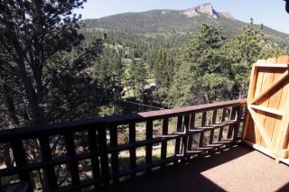 Fawn Valley Inn- 293 condo - 4