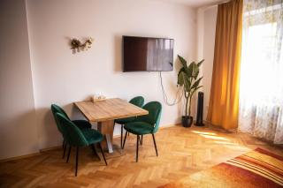 Prostorný byt v centru u řeky, 2 ložnice, balkón - 1