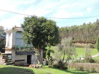Casa de Campo Pumarada de Oirín - Foz - 9