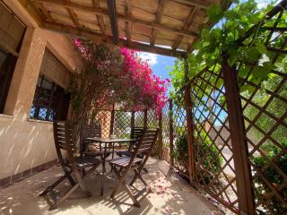 Finca Sa Canova Agroturismo - Campos - 5