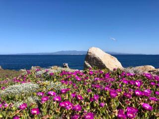 Relaxing Cristal Bedroom apartment sleeps nui1501 - Santa Teresa di Gallura - 0
