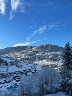 The White Bear - Appartement Spacieux et Confortable - La Clusaz - 7