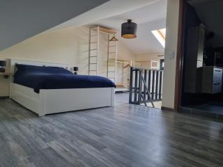 Studio Lillois - Bois le Duc - 4