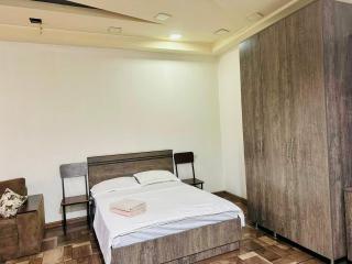Nice and Sunny 1 room Studio Near City Center + Open Balcony - Yerevan - 5