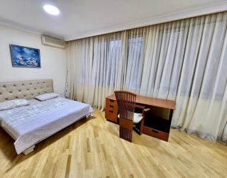 Family Spacious 3 Bedroom Apartment in the Middle of City Center, Next To North Avenue - Yerevan - 6