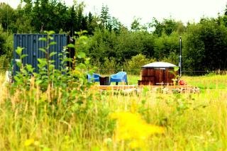 Wild Meadow - - 9