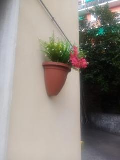Paint House - Imperia - 9