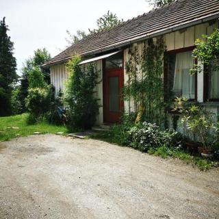 Cosy room in the nature - Graz - 6