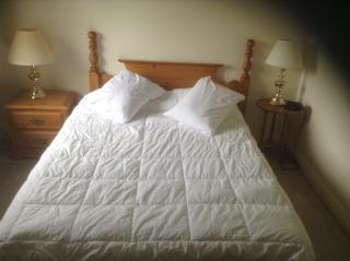 Algonquin Lakeside Inn - Dwight - 3