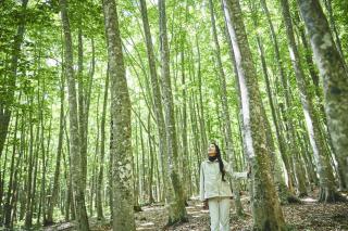 ANA InterContinental Appi Kogen Resort by IHG - Hachimantai - 4