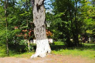 Dilijan Dream House 1 - 5