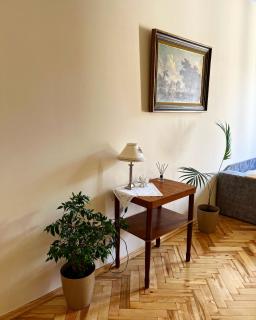VIP apartments - Lviv - 7