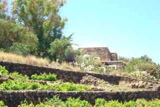 sull'arco dell'elefante - Pantelleria - 6