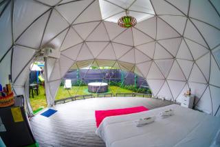 Paraiso Tropical Glamping - San Antonio - 8