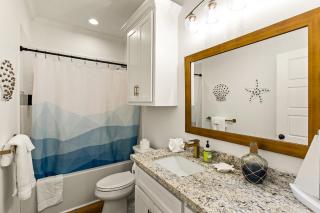 The Breezy Turtle - 6