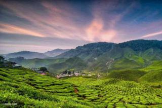 Cameron Highlands, The Breeze @ Barrington Square - 2