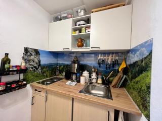 Moderne, 1-Zimmer Ferienwohnung mit Bergblick - Oy-Mittelberg - 4
