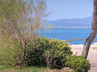 Appartement T2, 4 Couchages, Terrasse, Jardinet, Parking, Proche Commerces et Plage, Le Barcarès - FR-1-81-298 - Le Barcarès - 1