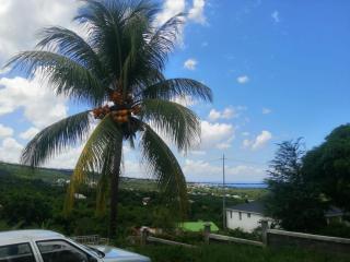 Appartement VIEUX HAB - 5