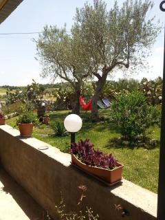 Agriturismo Tenuta Carbonara - Balata di Modica - 3