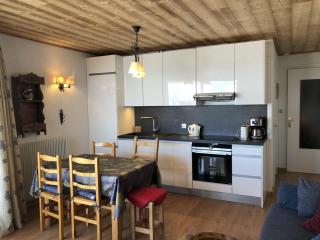 Appartement cosy 3 pièces, 6 pers, pistes et centre à proximité, balcon sud, animaux OK - Huez - FR-1-405-77 - L'Alpe-d'Huez - 8