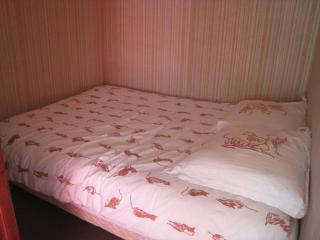 Appartement cosy 2 pièces, balcon sud, proche remontées et commerces, parking, casier à skis, 5 pers - FR-1-405-107 - L'Alpe-d'Huez - 3