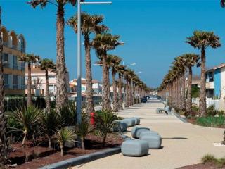Appartement 2 pièces 6 couchages, terrasse, parking privé, sud - FR-1-326-458 - Marseillan - 1